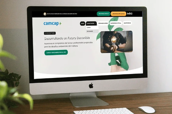 Asesoría post-entrega y mejoras continuas