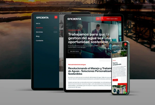 ¿Por qué elegir nuestro servicio de diseño de páginas web en Valparaíso